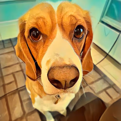 Benji the Doggo