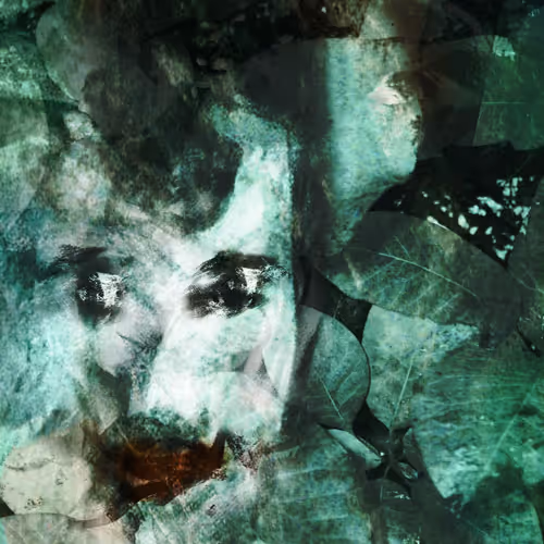 Berbere-Viking/Renar