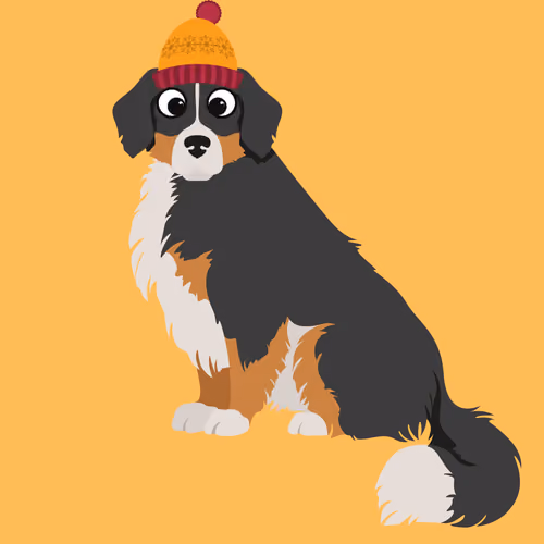 Bernese Dawgs - old