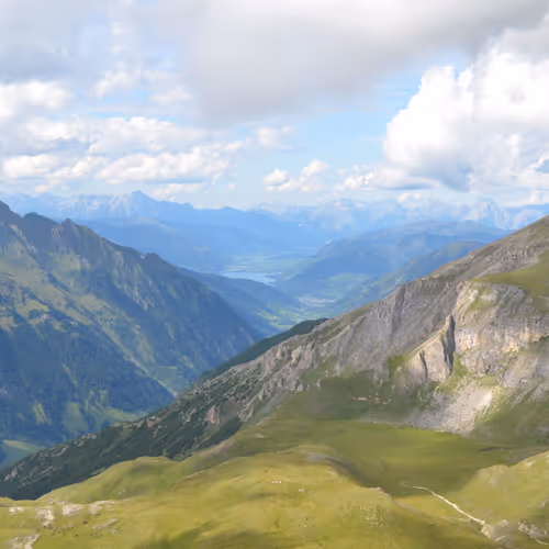 Bernhard91 Collection.