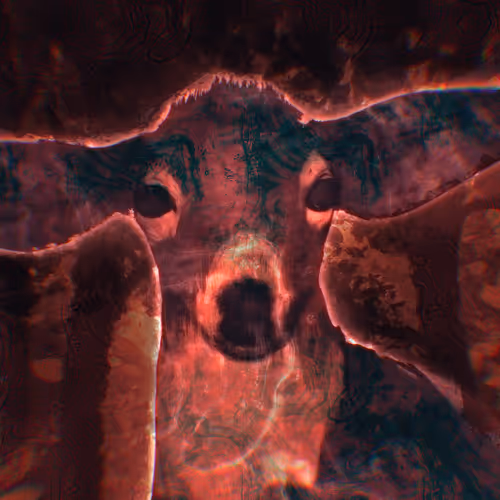 Bestiary Motay