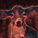 Bestiary Motay