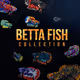Betta Fish Collection