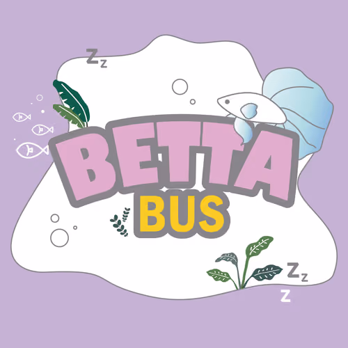 Betta Bus