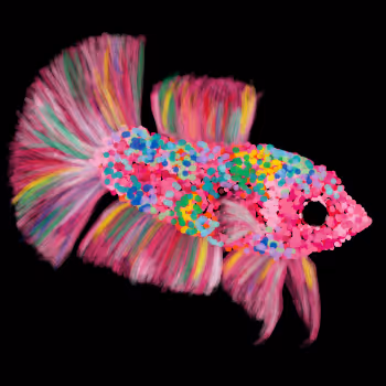 Bettas are beautiful!!