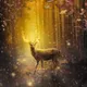 Beyond  Imagination - old