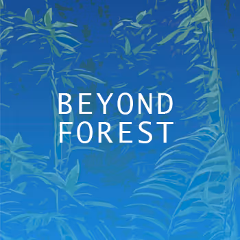 BEYOND FOREST