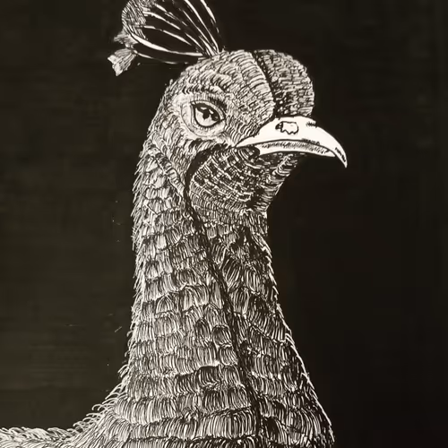 BF - SP3d44gvLu - old