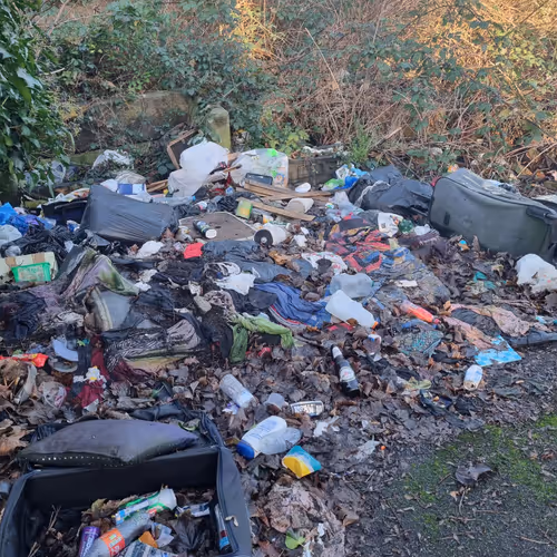 Bored and Good Stuff Club