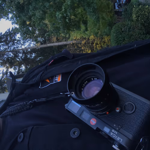 BHVR
