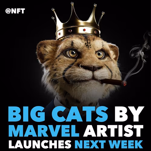 Big_CAT next week @NFTs