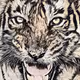 Big Cats Wild Art - Tigers Collection