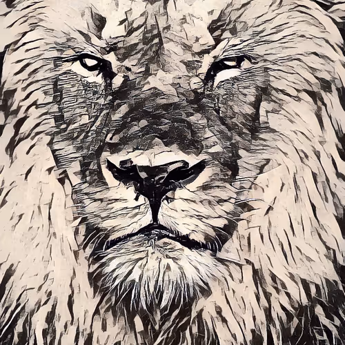 Big Cats Wild Art - Lions collection