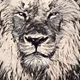 Big Cats Wild Art - Lions collection
