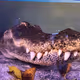 Big teeth