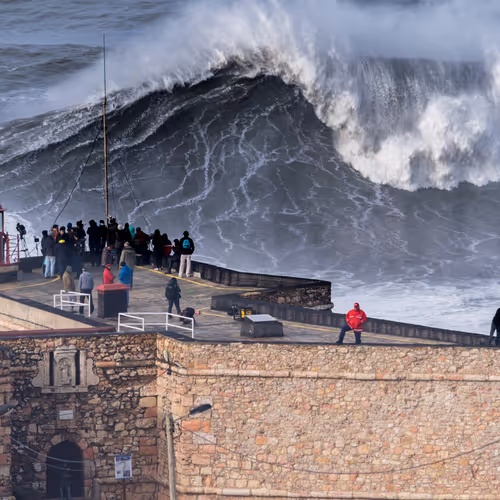 Big Naza (Polygon Edition)