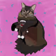 Bijou The Cat