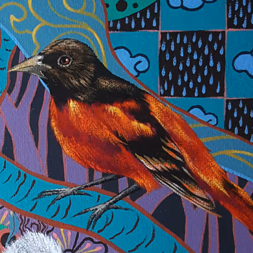 Billabirds