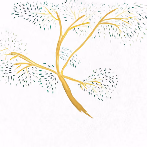BillionTrees Collection