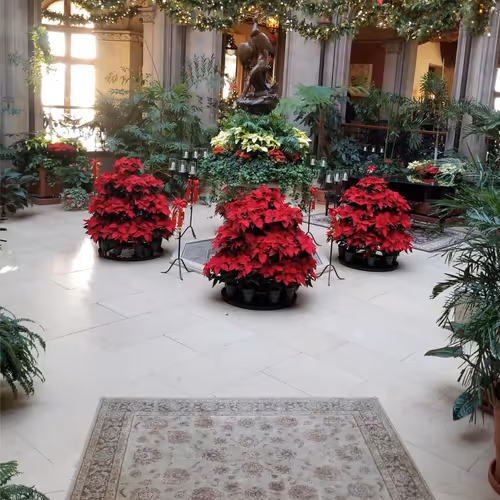 Biltmore Entrance at Christmas