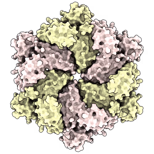 biosthetics