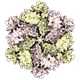 biosthetics