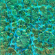 biologicalArt
