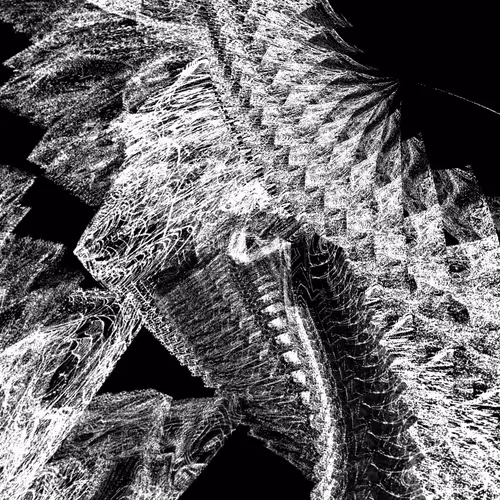 BIOMECHANICAL STATEMENT 00001