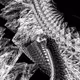 BIOMECHANICAL STATEMENT 00001