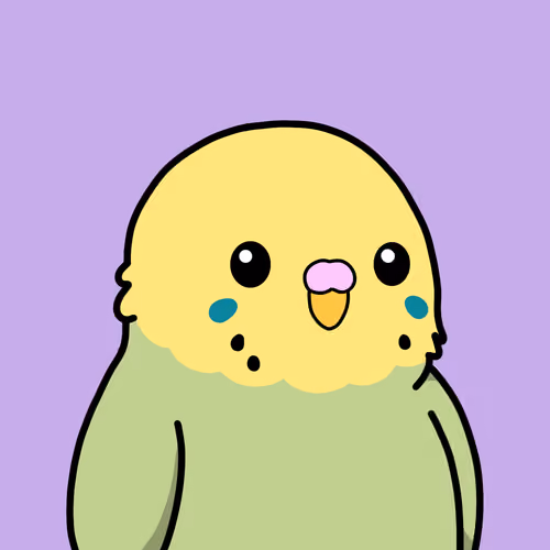 birbs NFT