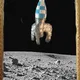 Birbs on the Moon Souvenir