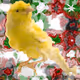 Animal Art Club