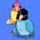 Bird Bro - old