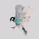Bird collage collection - old