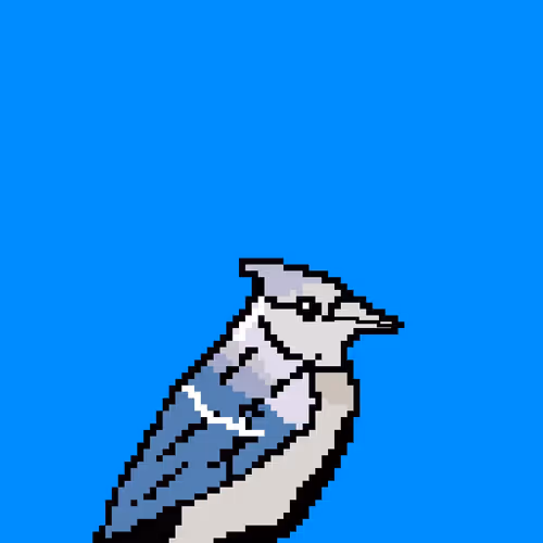 Bird Cosplay