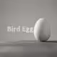 Bird Egg / "tori-tamago"