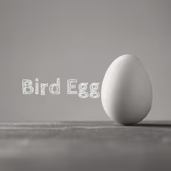 Bird Egg / "tori-tamago"