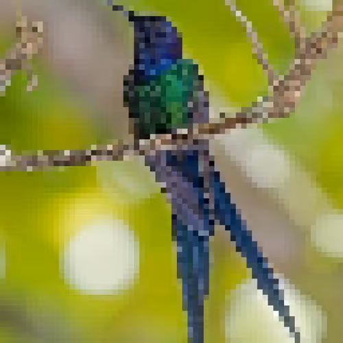 Birdpixl - old