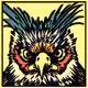 5Birds