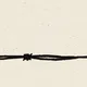 Birds, Marfa