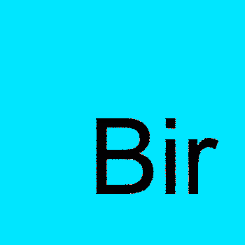 Birds by Oscar Jaenada