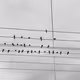 Photography Series: Birds On A Wire