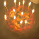 Biskwi Birthday Cake