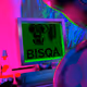 BISQA