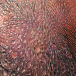 项目媒体占位符