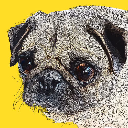 Bit Pug