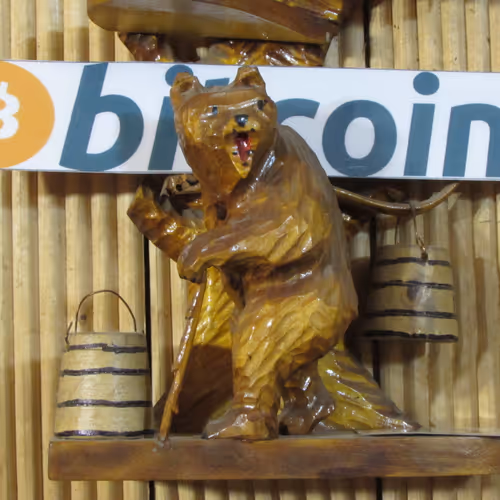 bitcoin bear