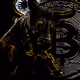 Cryptoarts1