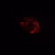 Bitcoin Dark Demon