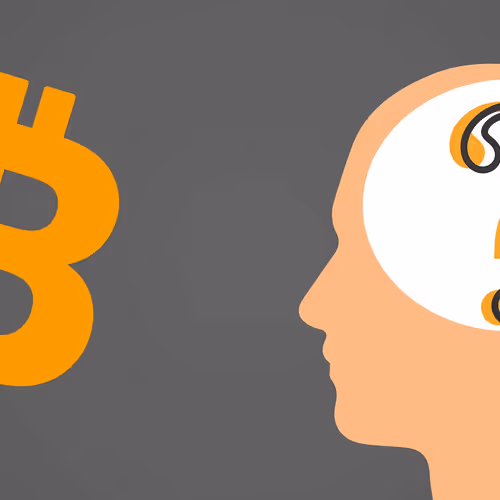 Bitcoin Enigma